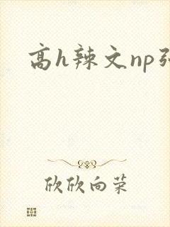 高h辣文np强