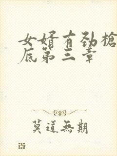 女婿有劲枪枪到底第三章