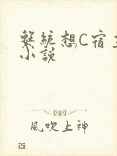 系统想C宿主的小说