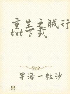 重生之贼行天下txt下载