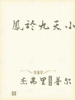 凤于九天小说封面