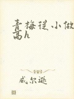 青梅从小做到大高h
