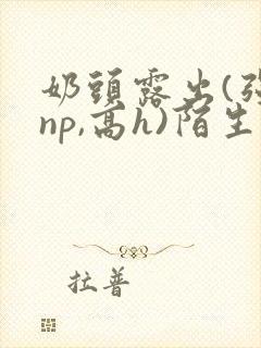 奶头露出(强jnp,高h)陌生人小说封面