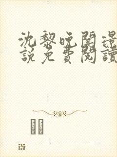 沈黎晚闻璟川小说免费阅读最新章节封面