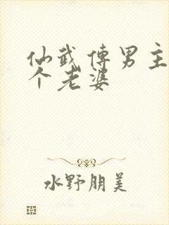 仙武传男主有几个老婆