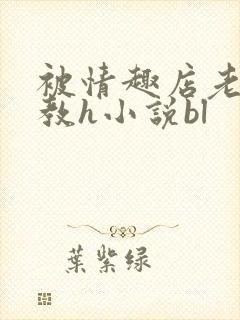 被情趣店老板调教h小说bl封面