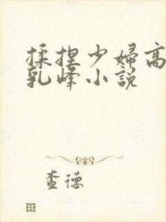 揉捏少妇高耸的乳峰小说