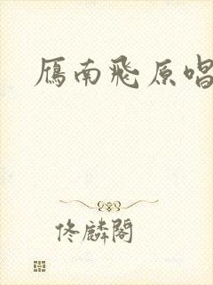 雁南飞原唱封面