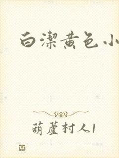 白洁黄色小说封面