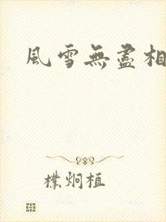风雪无尽相思情封面