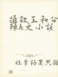 摄政王和公主高辣h文小说