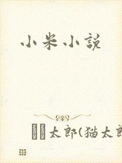 小米小说