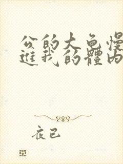 公的大龟慢慢挺进我的体内封面