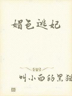 媚色逃妃封面