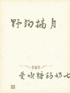 野狗摘月