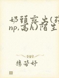 奶头露出(强jnp,高h)陌生人小说小说