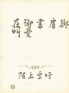 在御书房与皇上叫爱