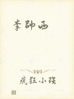 李帅西封面