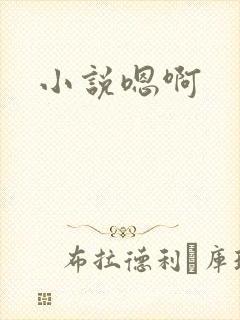 小说嗯啊