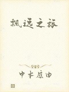 飘逸之旅封面