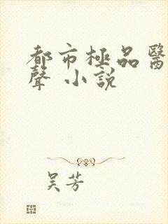 都市极品医神有声 小说