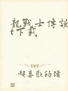 龙战士传说txt下载