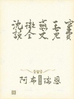 沈微燕王穿越小说全文免费阅读