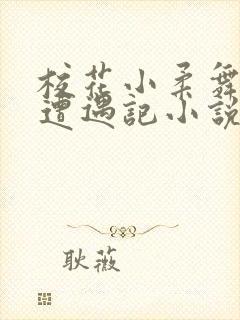 校花小柔舞蹈室遭遇记小说