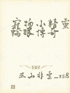 宠物小精灵之写轮眼传奇封面