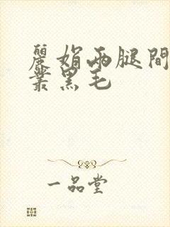 丽娟两腿间一大丛黑毛封面