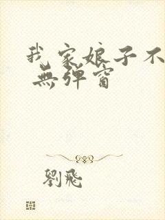 我家娘子不对劲 无弹窗封面