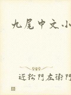 九尾中文小说网