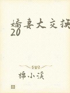 娇妻大交换1一20