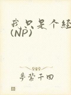 我只是个经纪人(NP)