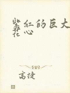 紫红的巨大顶开花心