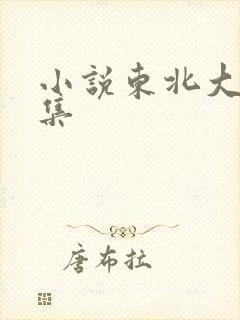 小说东北大炕全集封面