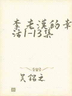 李老汉的幸福生活1-13集