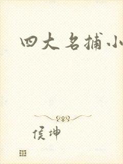 四大名捕小说封面