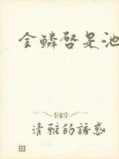 金鳞启是池中物封面