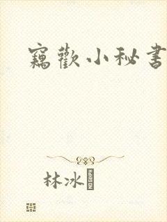 窃欢小秘书封面