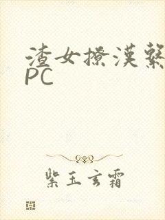 渣女撩汉系统NPC封面