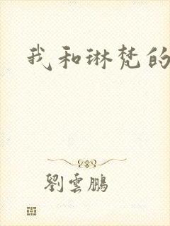 我和琳梵的故事封面