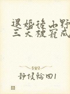 退婚后山野糙汉三天被宠成宝小说封面