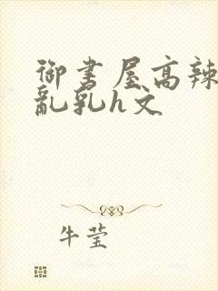 御书屋高辣h文乱乳h文