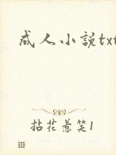 成人小说txt