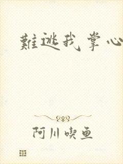 难逃我掌心封面