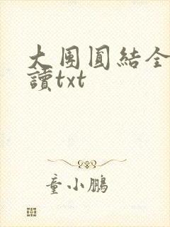 大团圆结全文阅读txt