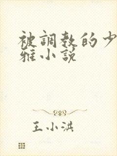 被调教的少妇张雅小说