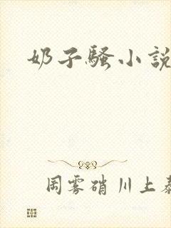 奶子骚小说