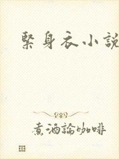 紧身衣小说封面